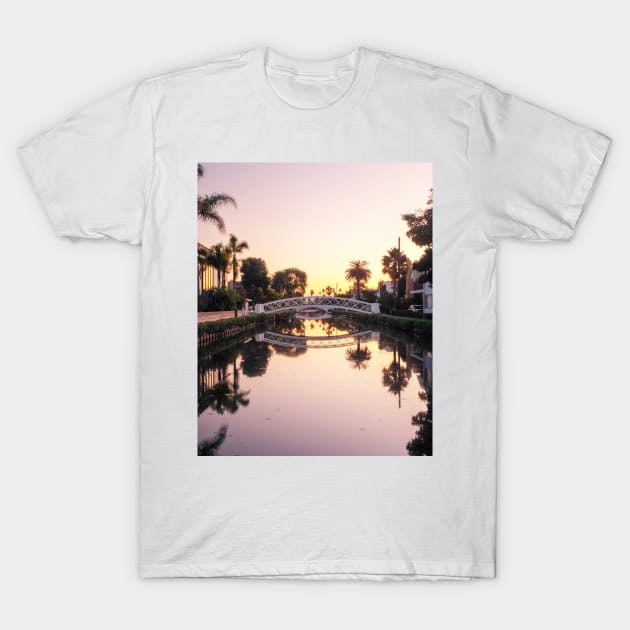 Venice Beach California T-Shirt by igjustin